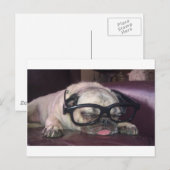 Pug in glas briefkaart (Voorkant / Achterkant)