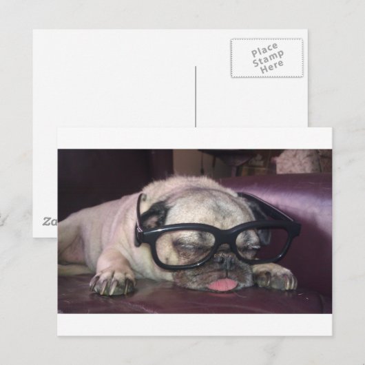 Pug in glas briefkaart (Voorkant / Achterkant)