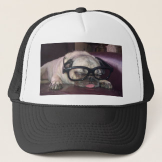 Pug in glas trucker pet