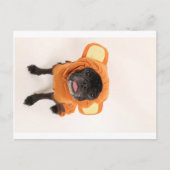 pug in het kostuum van de aap briefkaart (Voorkant)