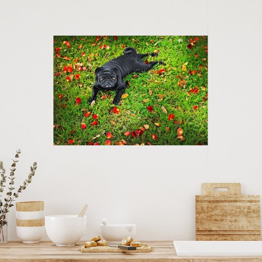 Pug in het park poster (Keuken)