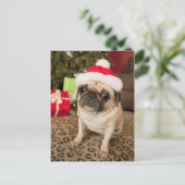 Pug in Santa Claus Pet zittend op tapijt Feestdagenkaart (Staand voorkant)
