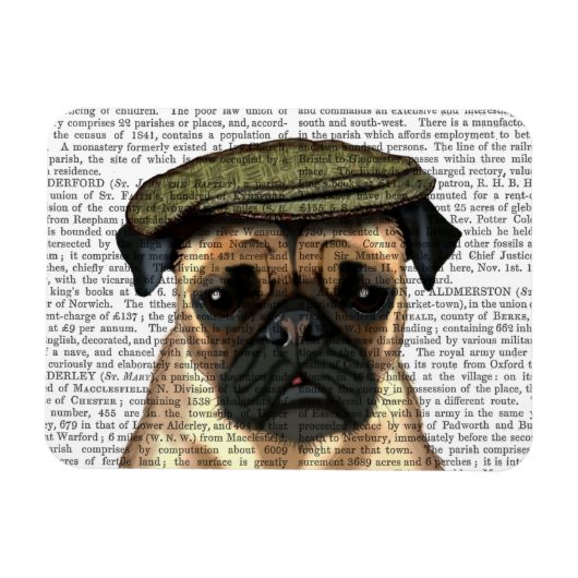 Pug in vlak Pet Magneet (Horizontaal)