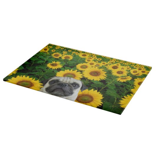 Pug in zonnebloemen snijplank (Hoek)