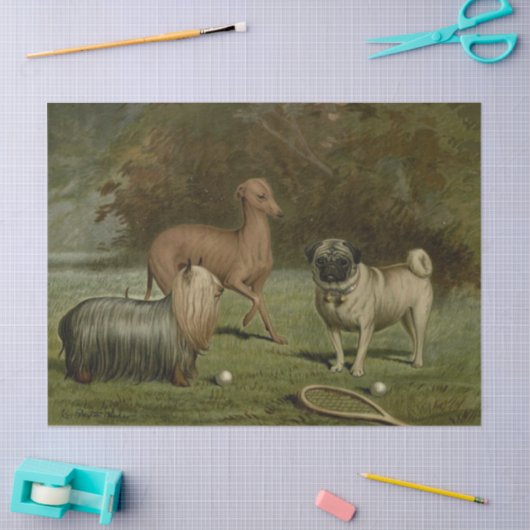  Pug, Italiaans Greyhound, Yorkshire Terrier Tissuepapier (Craft)