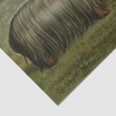  Pug, Italiaans Greyhound, Yorkshire Terrier Tissuepapier (Detail)