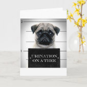 Pug Kaart (Gele Bloem)