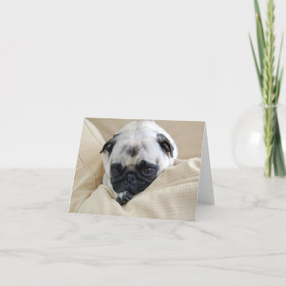 Pug Kaart