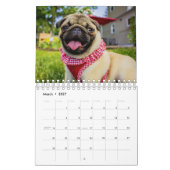 Pug Kalender (Mar 2027)