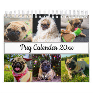 Pug Kalender