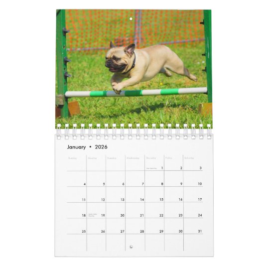 Pug Kalender (Jan 2026)