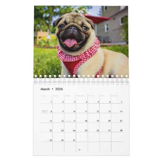 Pug Kalender (Mar 2026)