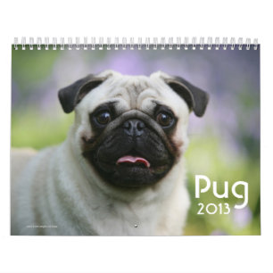 Pug Kalender