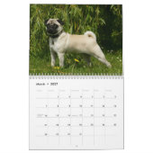 Pug Kalender (Mar 2027)