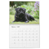 Pug Kalender (Feb 2027)