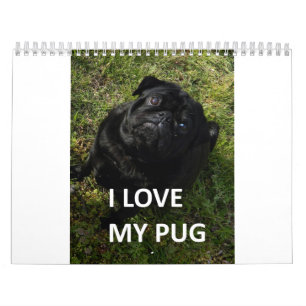 Pug Kalender