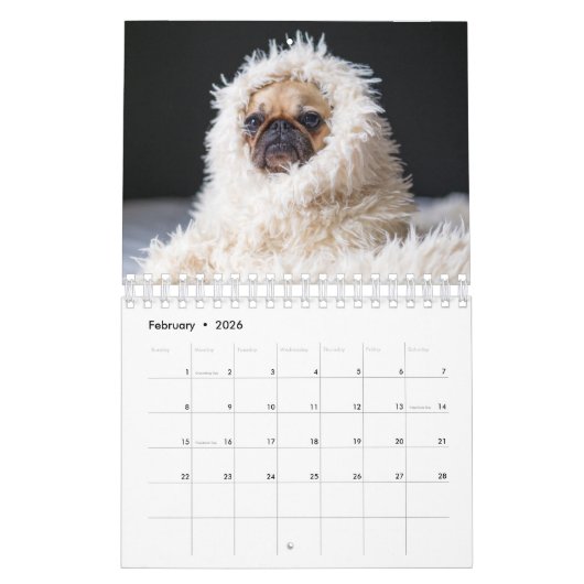 Pug Kalender (Feb 2026)