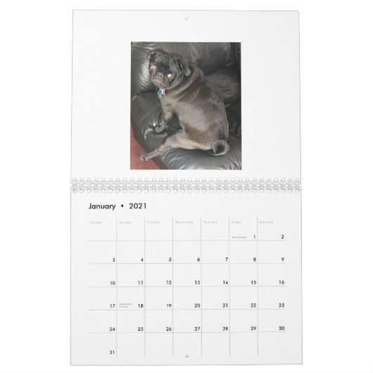 pug-kalender kalender (Jan 2021)