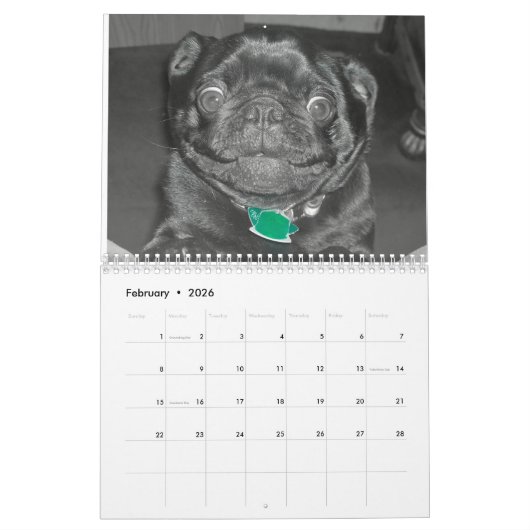 pug-kalender kalender (Feb 2026)
