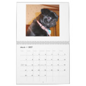 pug-kalender kalender (Mar 2027)
