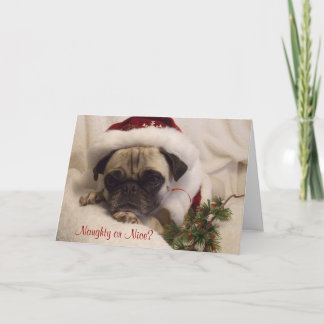 Pug Kerstkaart Feestdagen Kaart