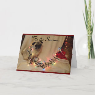 Pug Kerstkaart Feestdagen Kaart