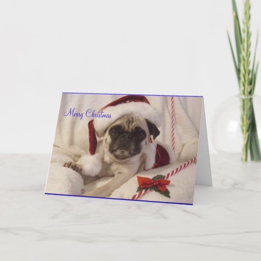 Pug-kerstkaart Feestdagen Kaart (Voorkant)