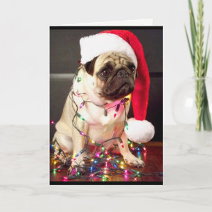 Pug-kerstkaart Feestdagen Kaart
