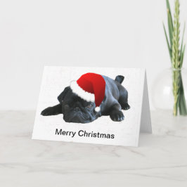Pug-kerstkaart Feestdagen Kaart