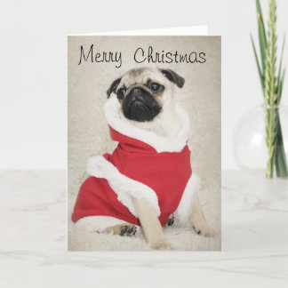 Pug Kerstkaart Feestdagen Kaart