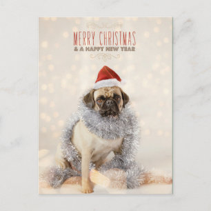 Pug Kerstkaart Feestdagenkaart