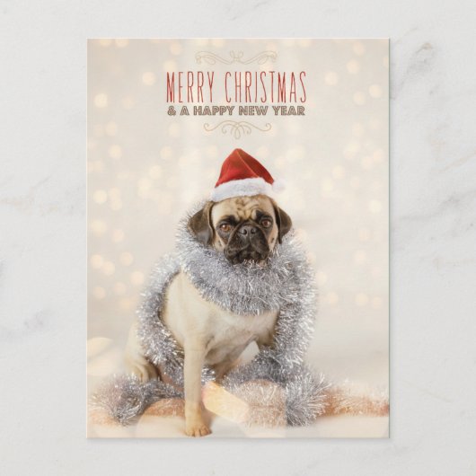 Pug Kerstkaart Feestdagenkaart (Voorkant)