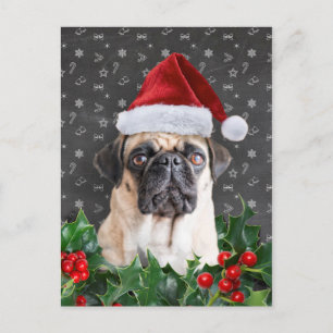 Pug-kerstkaart Feestdagenkaart