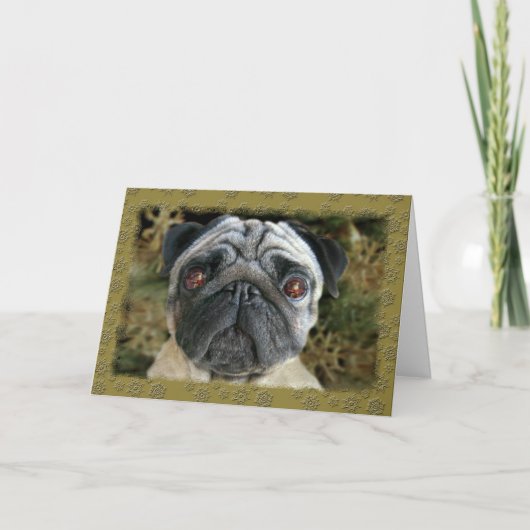 Pug Kerstkaart - onderzoek haar ogen… Feestdagen Kaart (Voorkant)