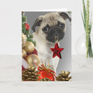Pug Kerstkaarten Feestdagen Kaart