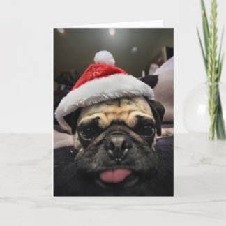 Pug Kerstmis Feestdagen Kaart