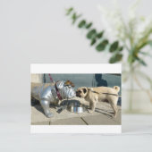 Pug kisses briefkaart (Staand voorkant)