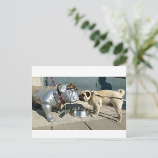 Pug kisses briefkaart (Staand voorkant)