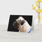 Pug Knuffels & Kusjes Verjaardag Kaart Focus voor  (Gele Bloem)