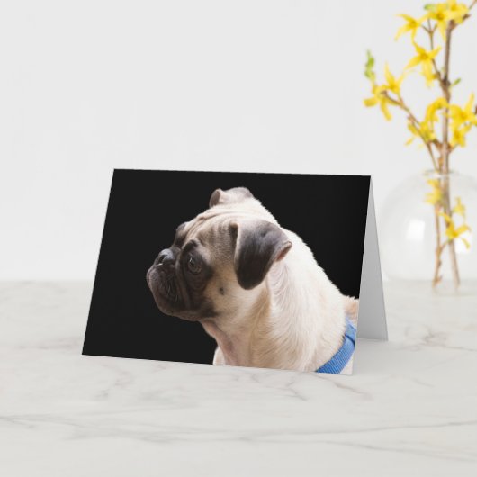 Pug Knuffels & Kusjes Verjaardag Kaart Focus voor  (Gele Bloem)