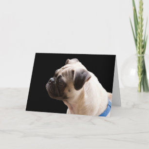 Pug Knuffels & Kusjes Verjaardag Kaart Focus voor 