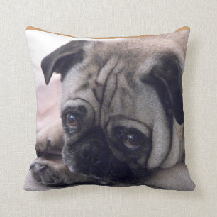 Pug kussen