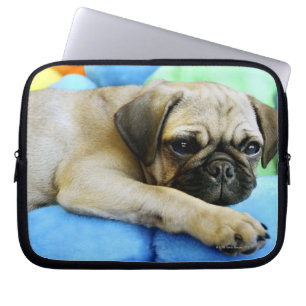 Pug leggen op kussens laptop sleeve