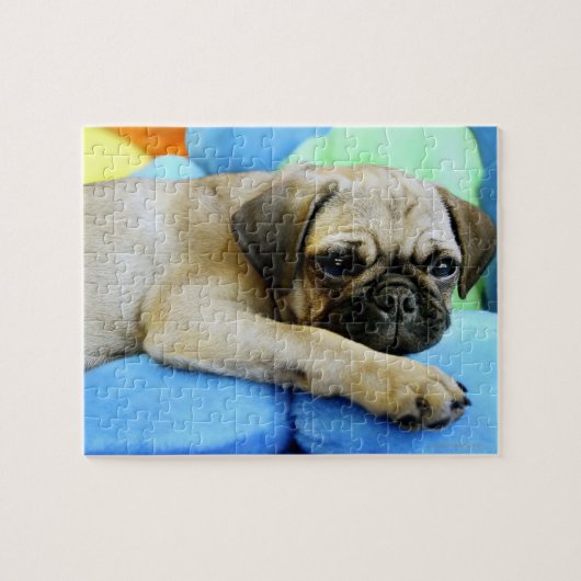 Pug leggen op kussens legpuzzel (Horizontaal)