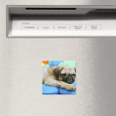 Pug leggen op kussens magneet (Insitu (Vaatwasser))