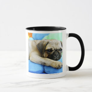 Pug leggen op kussens mok