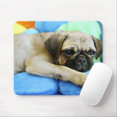 Pug leggen op kussens muismat (Met muis)