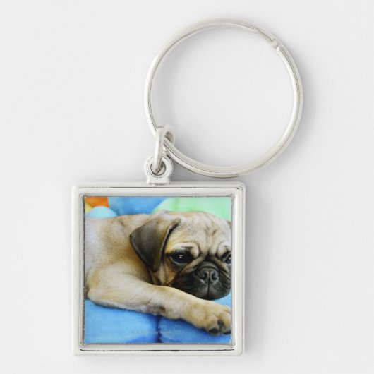 Pug leggen op kussens sleutelhanger (Voorkant)