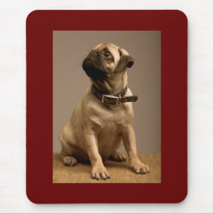 Pug Liefde Puppy Hond Bruin Computer Muismat