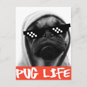 Pug Life Briefkaart
